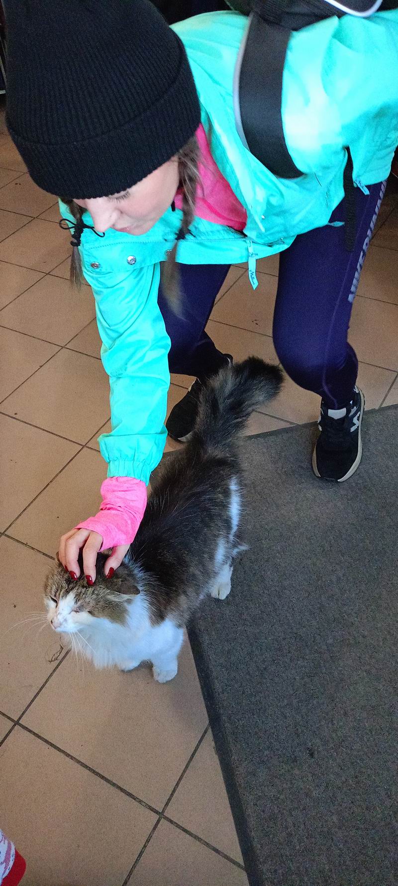 Без кота и жизнь не та