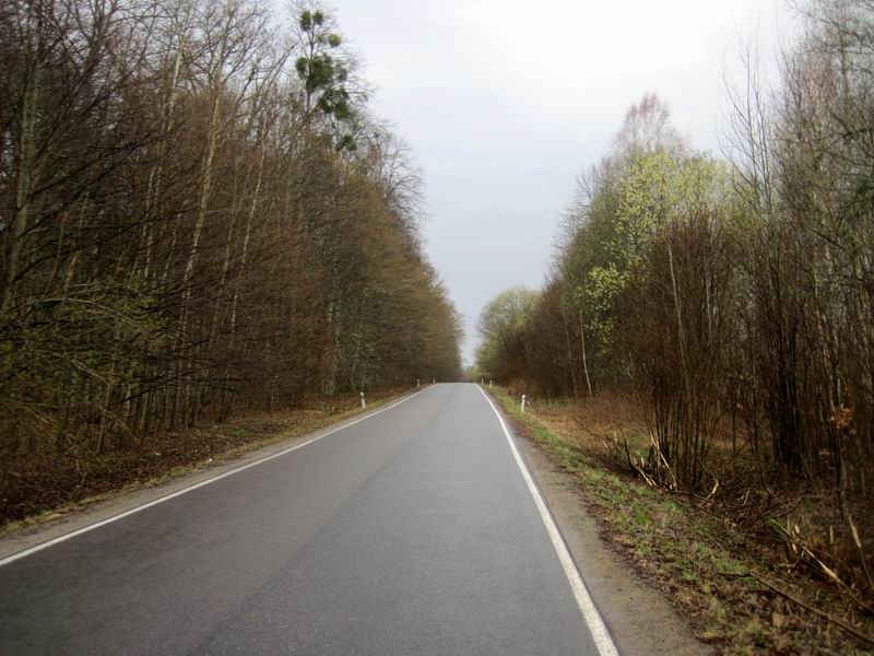 Дорога