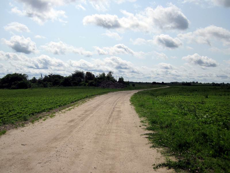 Велогруппа едет по грунтовке, парралельной трассе А-216