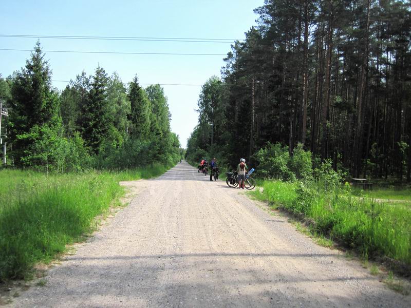 Дорога через лес Северный