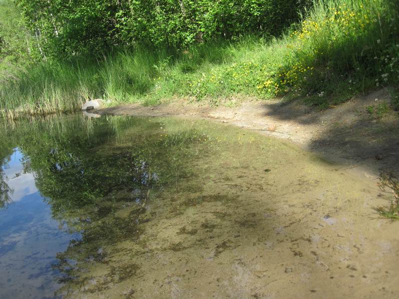 Прозрачная вода озера