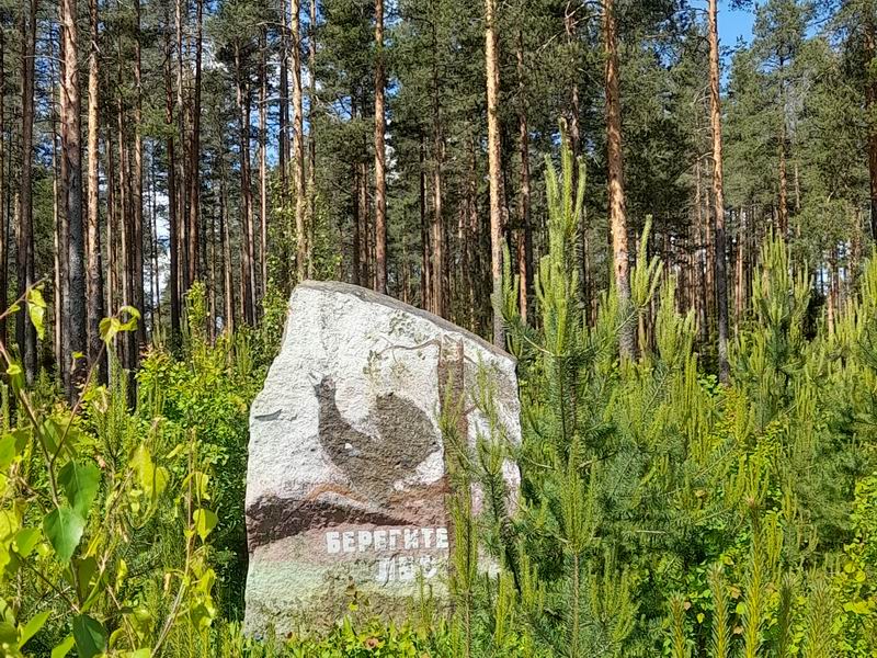 Камень 'Берегите лес'
