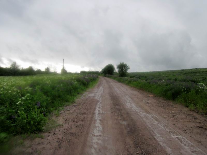 Поехали дальше. Въехали в Ленинградскую область. Видим просвет в тучах.