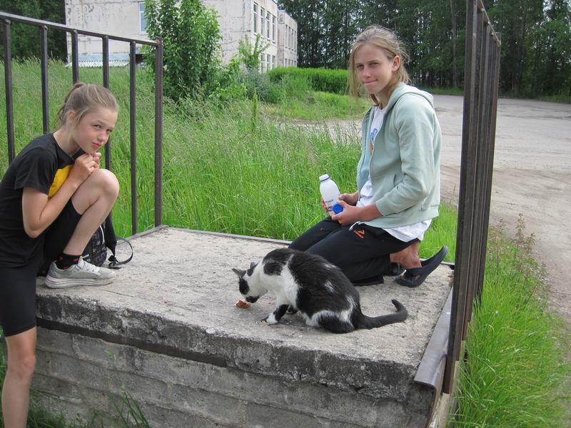Девочки кормят кота хлебом