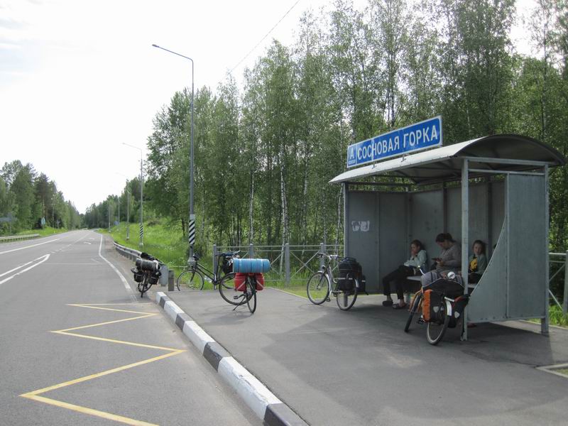 Остановка Сосновая Горка