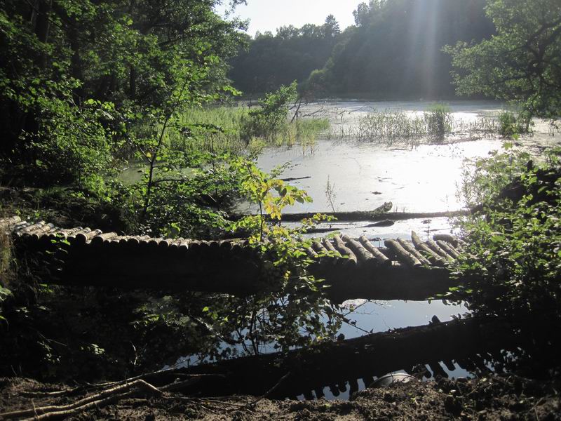 Рядом с мостом построили плотину и подняли уровень воды в пруду