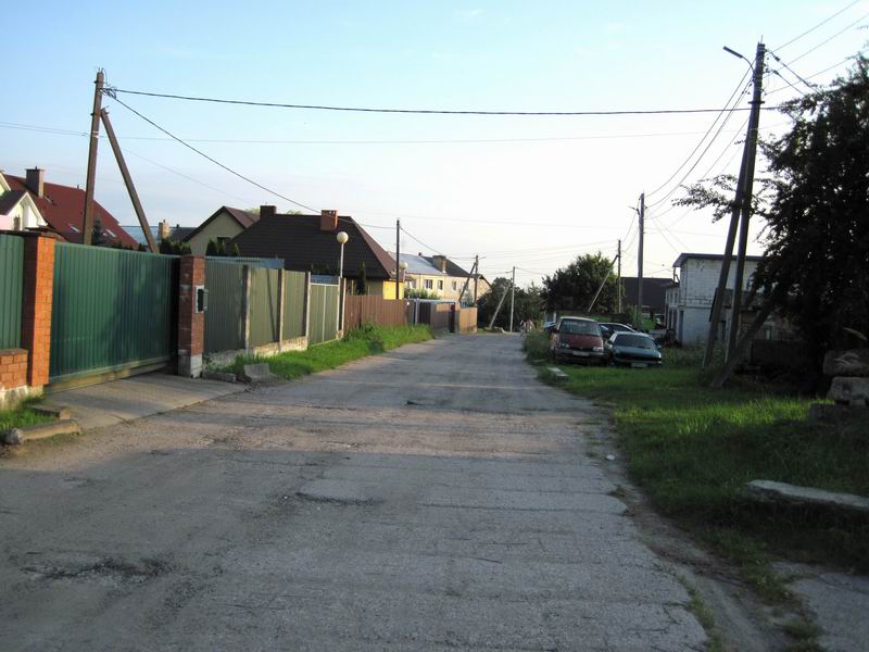 Ул. Лесная в Холмогоровке