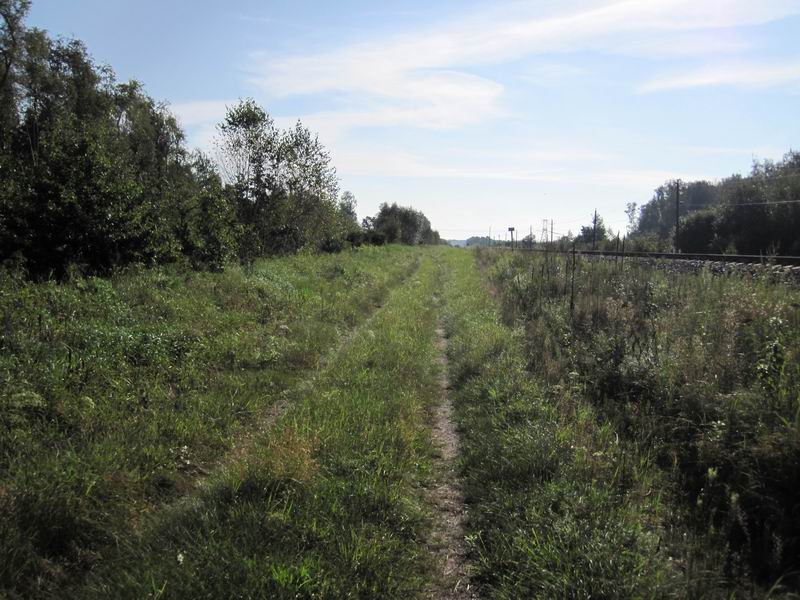 Никакой грязи нет