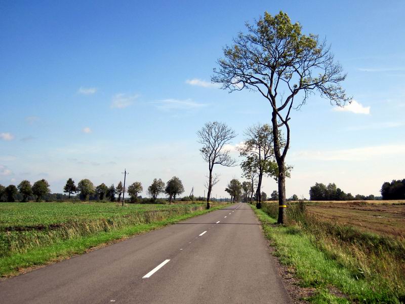 Кайфовый безавтомобильный асфальт