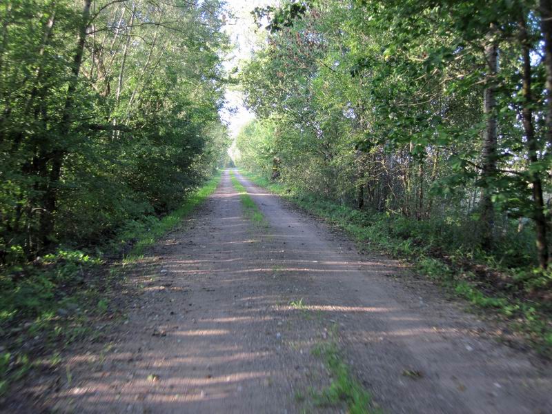 Едем по прекрасной скоростной грунтовке