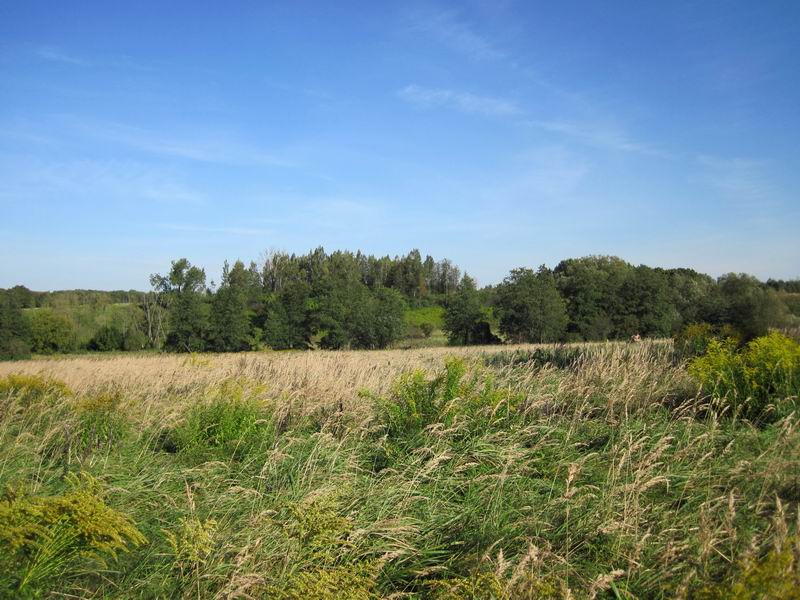 Выезд с поляны на дорогу