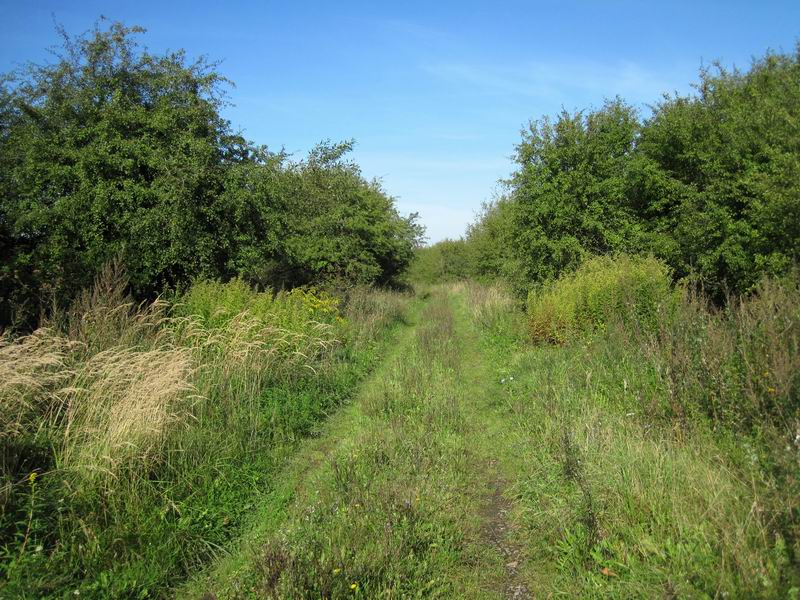 Дорога к Веселовке