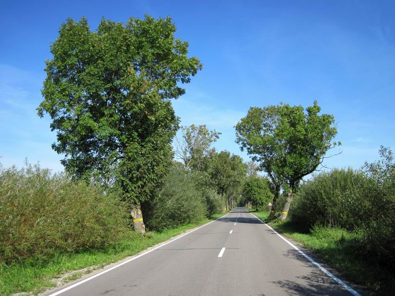 Хорошая дорога после Веселовки