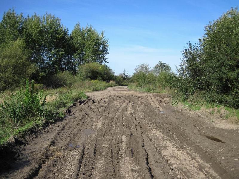 Небольшой гуаномес