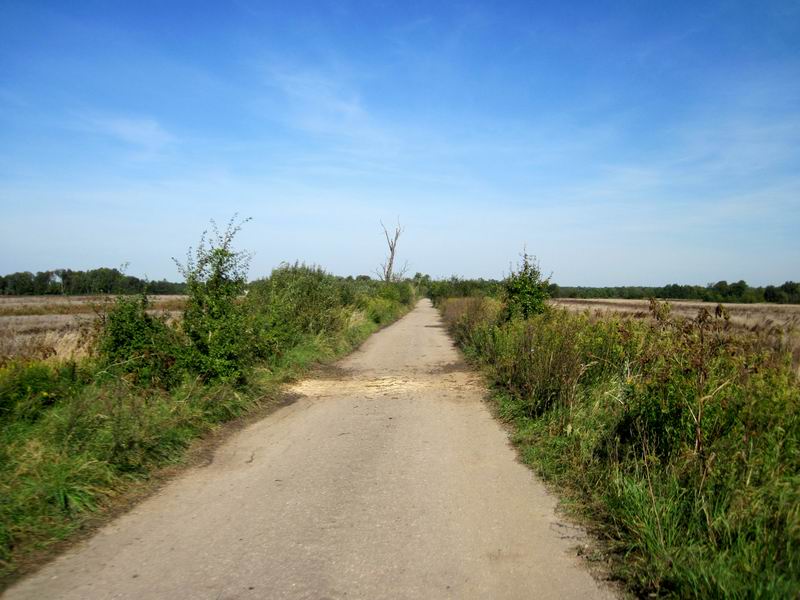 Дорога в Зелёный Бор