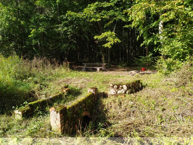 Место отдыха в Черняховском лесу