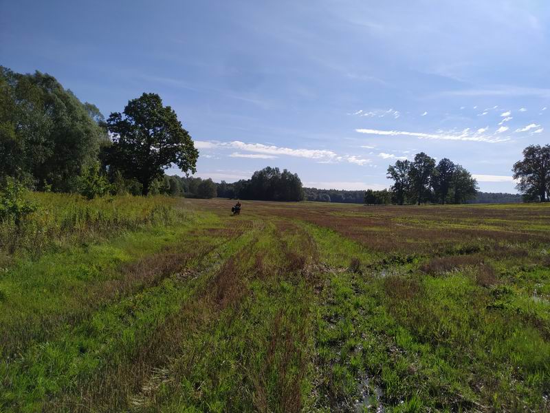 Обход по полю плохого участка дороги. Ехать не получается из-за обильных дождей накануне