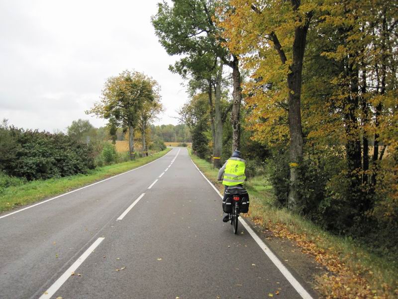 Дариана Мезенова едет в юбилейной жилетке