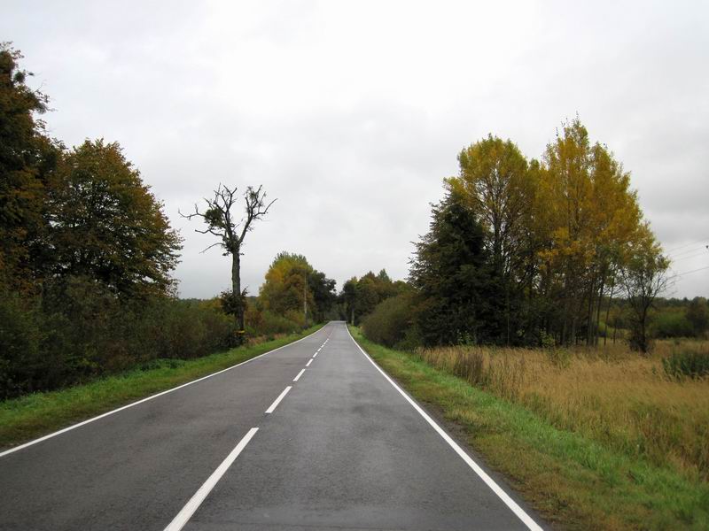 Осенняя дорога