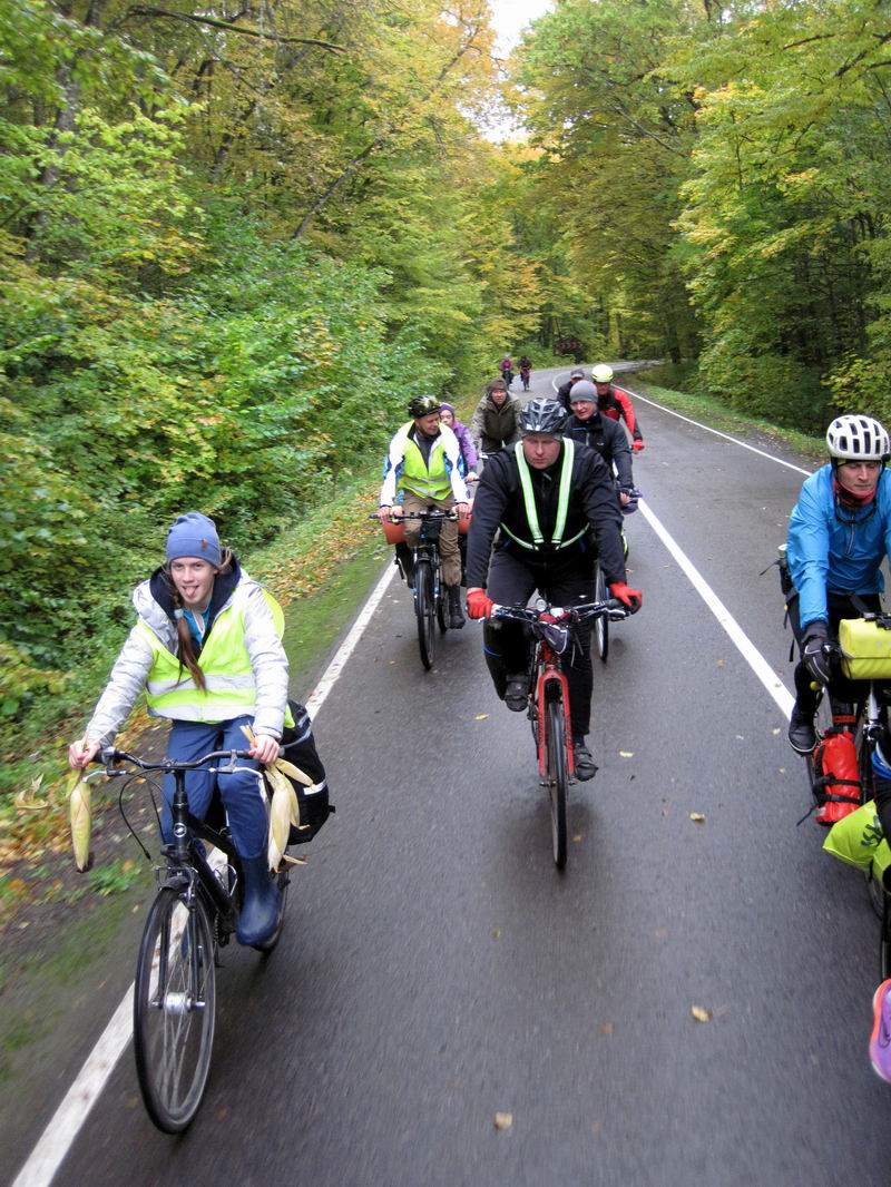Проезжаем через Бережковский лес