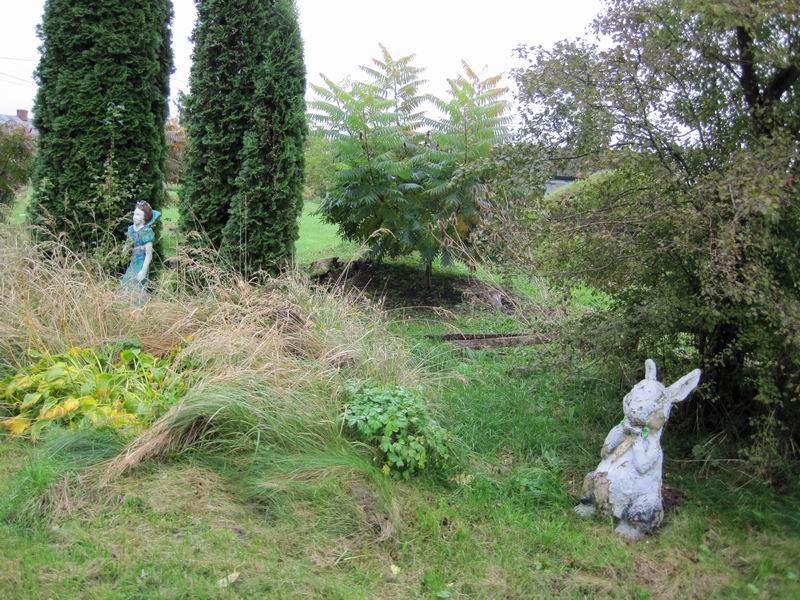 Белоснежка и заяц