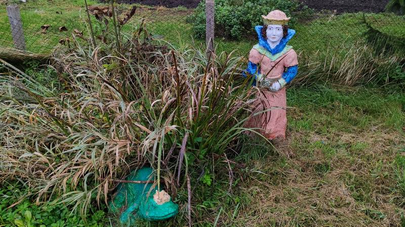 Царевна-лягушка и Иван-царевич