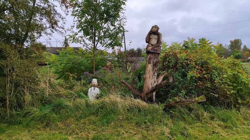 Доктор Айболит и обезьяна