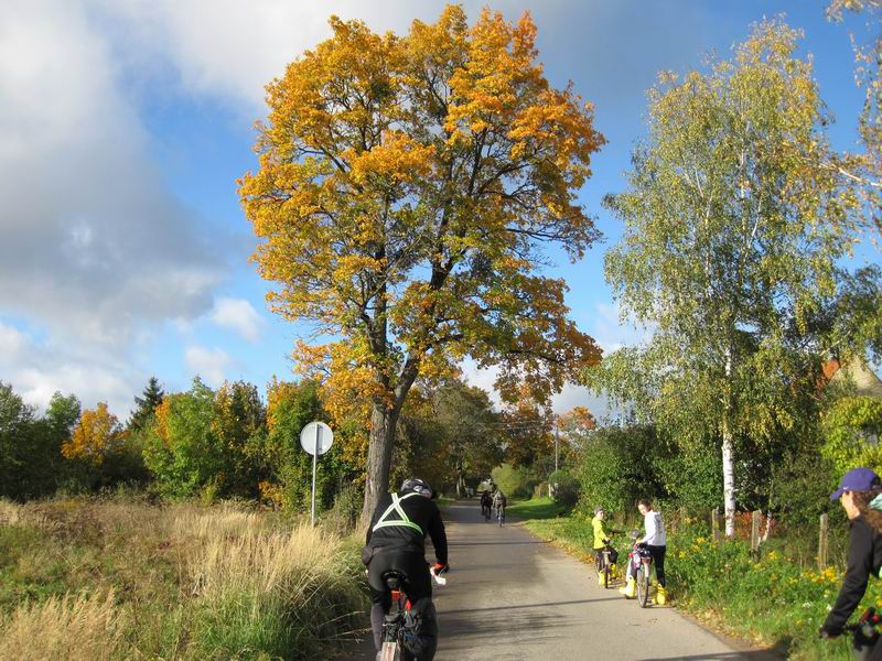 Улица Луговая в Ушаково
