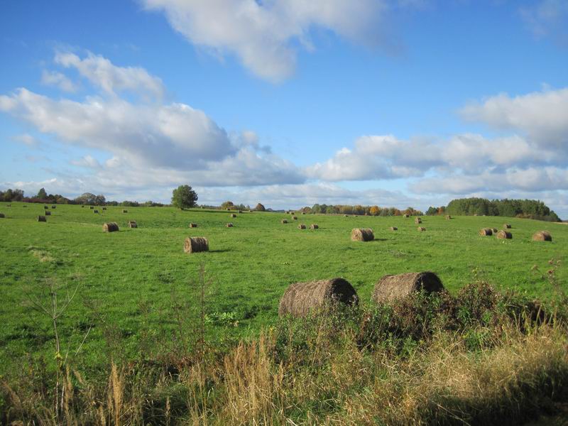 Поле с тюками