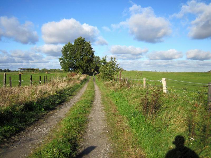 Красивая полевая грунтовка