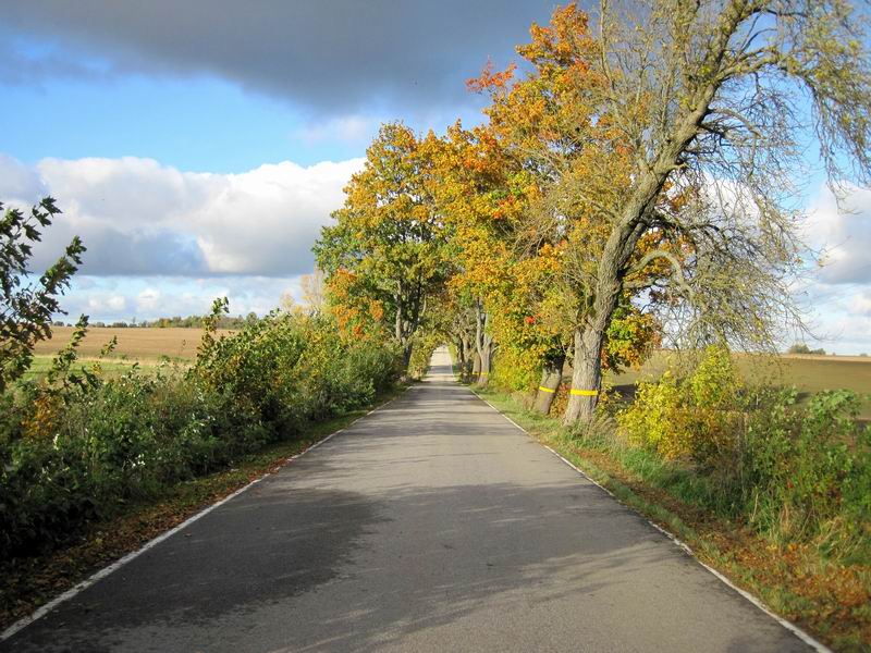 Выехали на асфальт