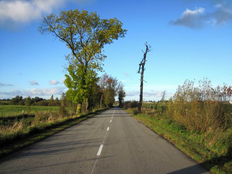 Дорога на Дубраву