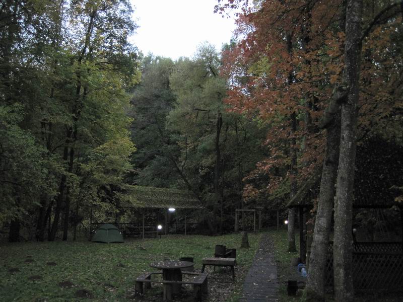 Утро на поляне. Можно заметить палатку Бориса Мошняги