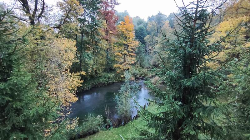 Вид из окна гостевого дома на речку Красную