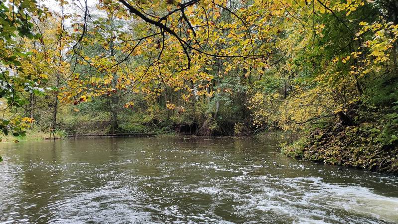 Река Красная