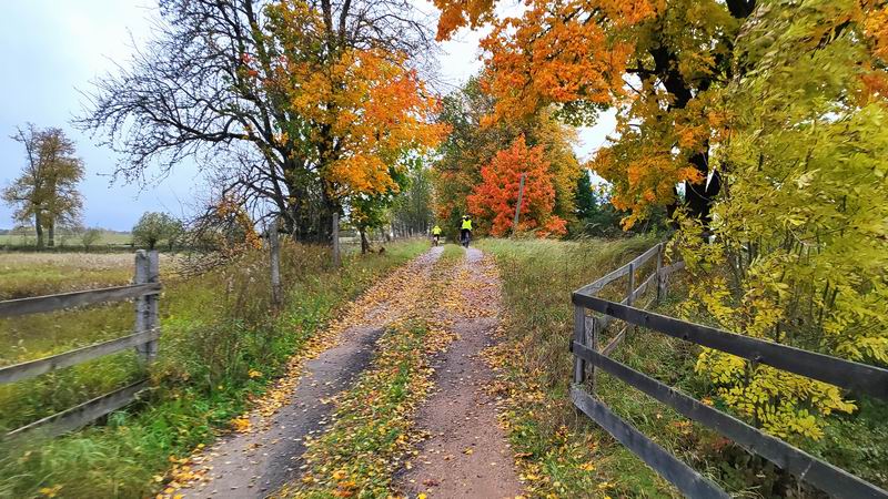 Осенние краски