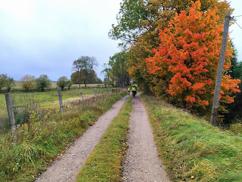 Выезжаем на асфальт
