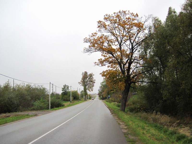 Выехали из Гусева