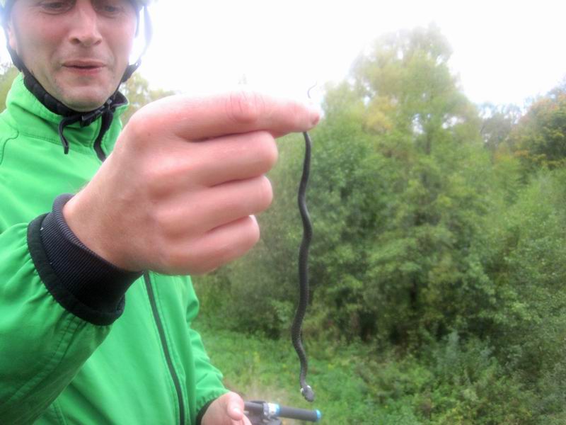 Сергей Кузнецов поймал ужа