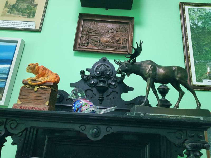 Ещё один лось