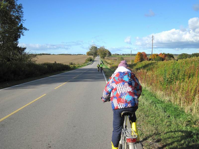Едем дальше, поднялся сильный встречный ветер