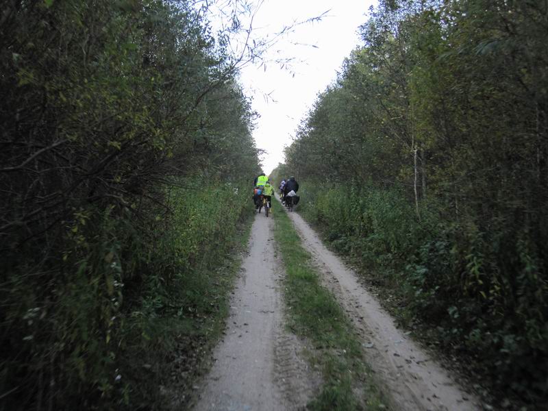 Учасок через лес Сухой, где нет мордодуя