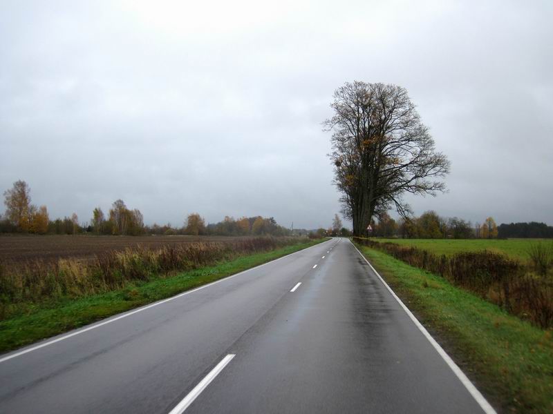 Полесская трасса за Полесском