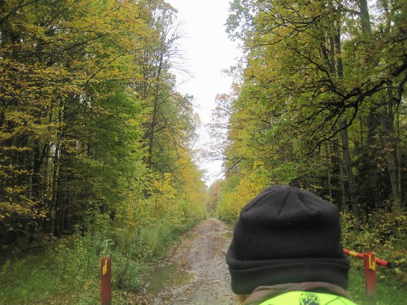 Въезд во Фрунзенский лес