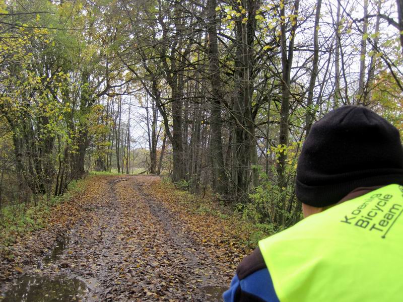 Выезд из леса