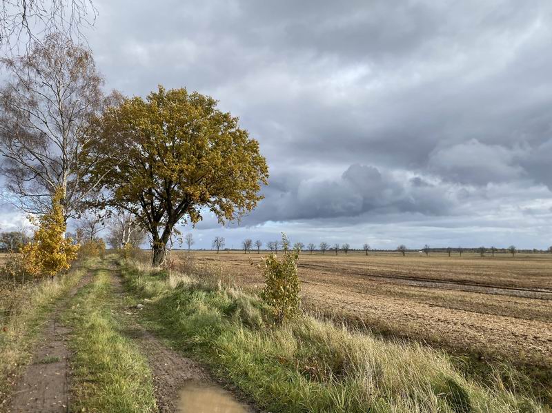 Выезд с купальной остановки