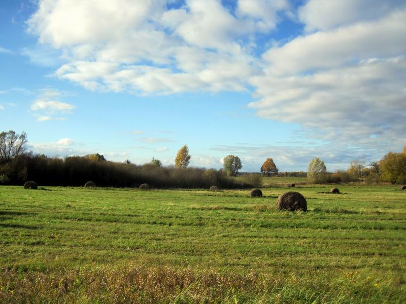 Пейзаж с тюками