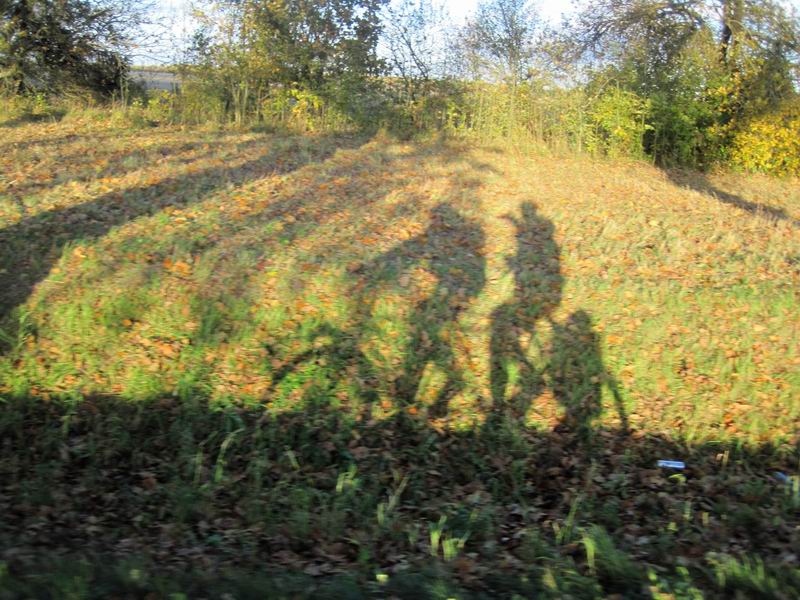 Тень злого чёрного тандема