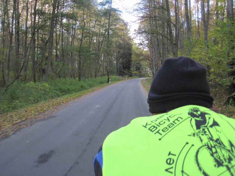 Едем через Правдинский лес