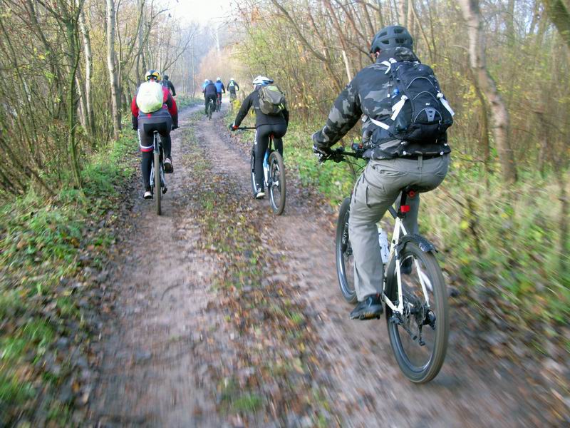 Укатанные песчаные дорожки.